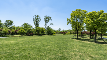 Parks nearby